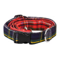 Royal Stewart Tartan Dog Leash with classic red, green, blue, and yellow pattern